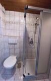 indoor, sink, bathroom, plumbing fixture, shower, toilet, bathtub, wall, tap, bathroom accessory, mirror, floor